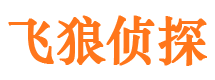 良庆市侦探调查公司